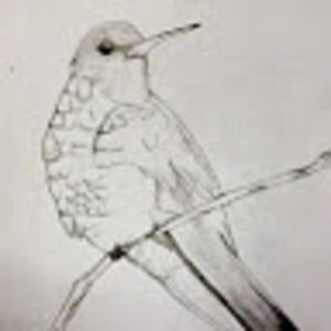 Meet your Posher, Araceli